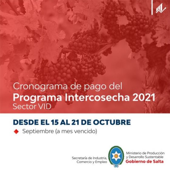 Pago del programa intercosecha para el sector de la Vid