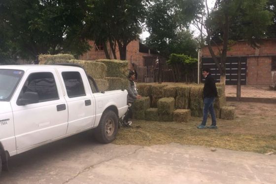 Pequeños productores de Santa Victoria Este recibieron forraje por la Emergencia Agropecuaria