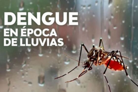 Pautas para prevenir el dengue, zika y chikungunya durante el periodo de lluvias