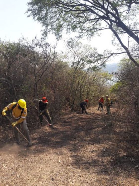 Guardaparques provinciales fueron capacitados en manejo de incendios forestales