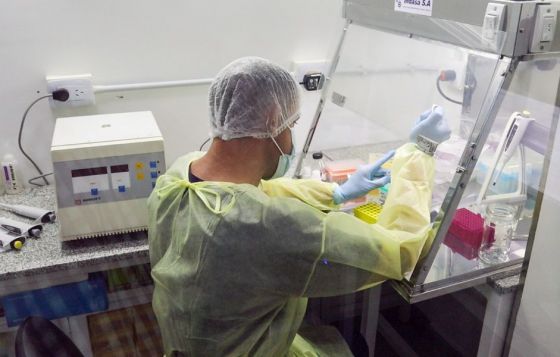 Salud Pública confirmó 82 nuevos casos de tres variantes de coronavirus