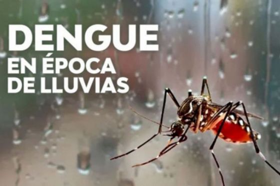 Aconsejan fortalecer las medidas preventivas para evitar dengue, zika y chikungunya