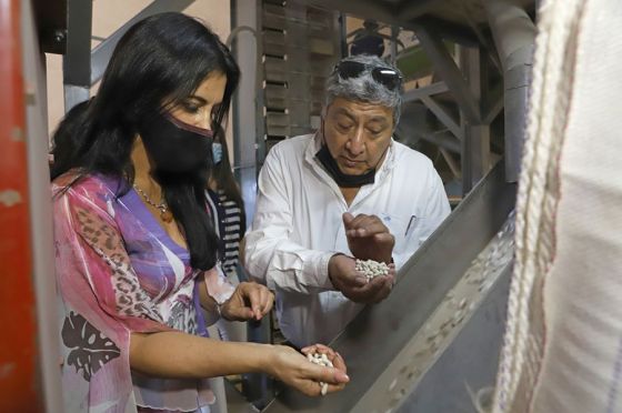 Destacan el trabajo de la planta procesadora de legumbres de la Estación Alvarado