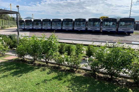 La empresa El Cóndor incorporó 10 coches 0km a su flota de colectivos