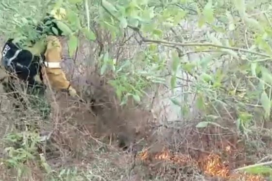 Continúa el trabajo operativo para sofocar los focos de incendio activos en Rivadavia