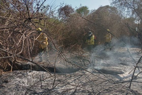 Fue extinguido el incendio forestal en el parque provincial Los Palmares