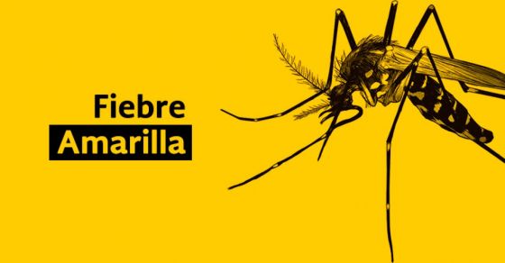 Ya se aplicaron 1750 dosis contra la fiebre amarilla en el hospital Señor del Milagro