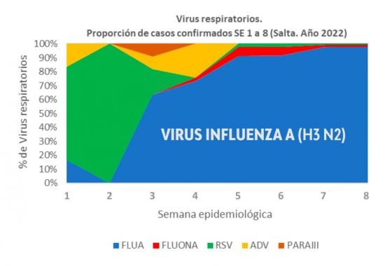 Inusual incremento de enfermedades tipo Influenza en Salta