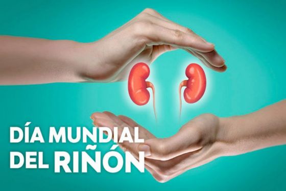 Actividades de concientización y capacitación sobre enfermedad renal crónica