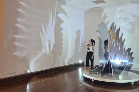 Continúa en exposición Impulso Vital, la muestra de Loly Rodríguez en el Bellas Artes