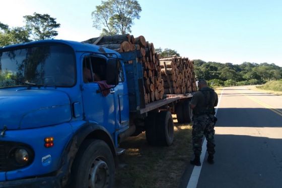 Intensifican los controles para combatir la extracción y transporte ilegal de madera