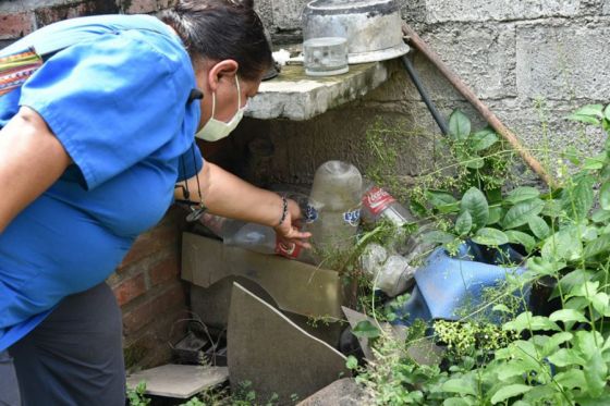 Instan a fortalecer las medidas preventivas para evitar enfermedades transmitidas por mosquitos