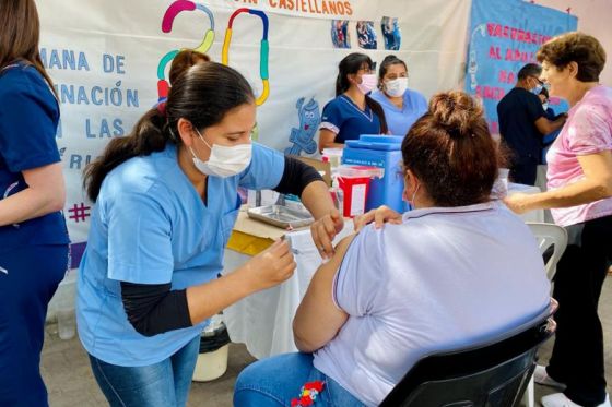 Qué enfermedades se pueden prevenir con la aplicación de vacunas