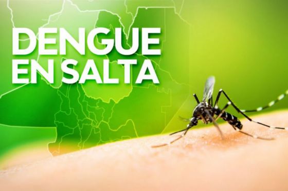 Epidemiología notificó 73 nuevos casos de dengue en Salta