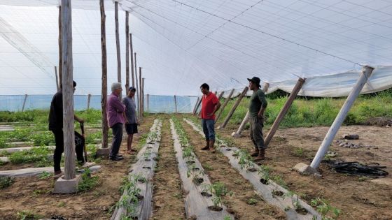 Comenzó la siembra en los dos primeros invernaderos wichis de Salta