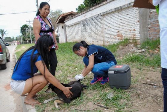 Se refuerza la aplicación de la vacuna contra la rabia en zona de frontera