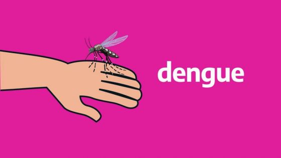 Se confirmaron 105 nuevos casos de dengue en la provincia