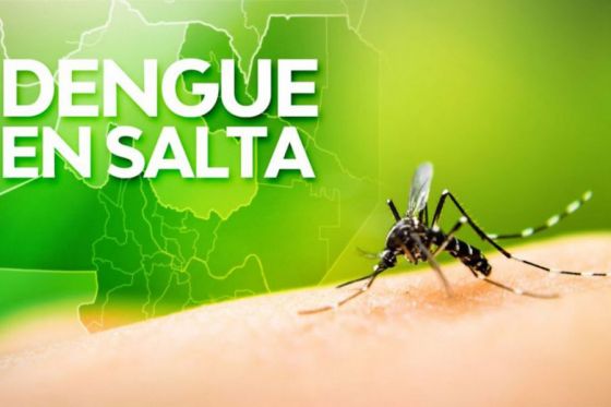 Suman 516 los casos confirmados de dengue en la provincia