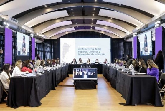 Salta expuso su agenda de trabajo en el Consejo Federal del Ministerio de las Mujeres, Géneros y Diversidad