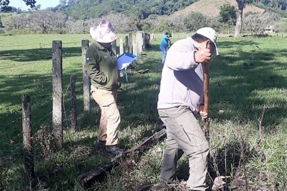 Con producción arbórea propia, guardaparques reforestaron áreas degradadas en Serranías de Tartagal