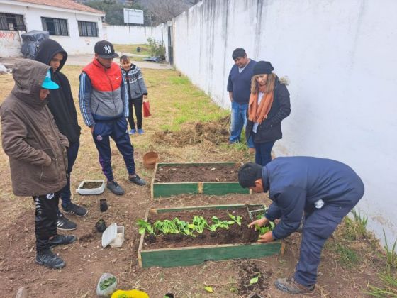 Niñas y niños de dispositivos de cuidados participaron en el armado de huertas orgánicas