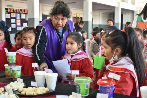 En la primera etapa del programa Copa de Leche, más de 110 mil alumnos salteños recibieron el beneficio