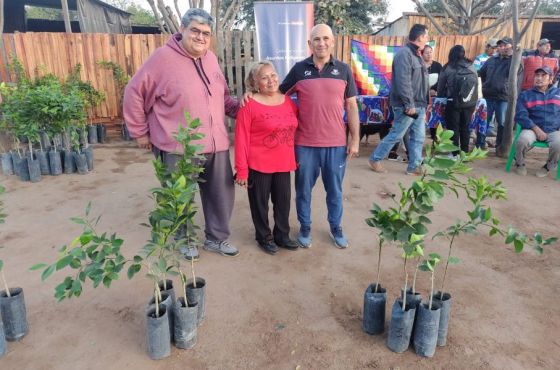 Promueven el autocultivo y venta de excedente en comunidades indígenas