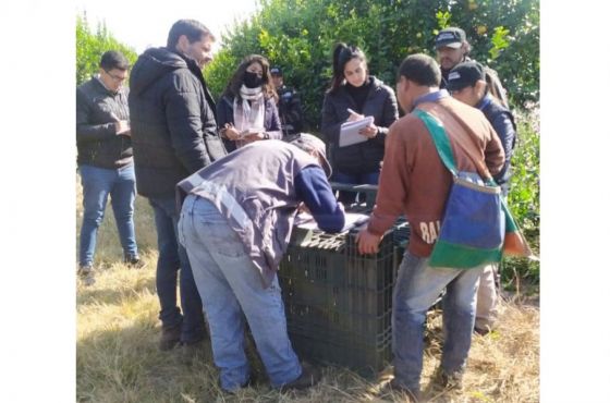 Se asistió a 70 trabajadores en situación de explotación laboral