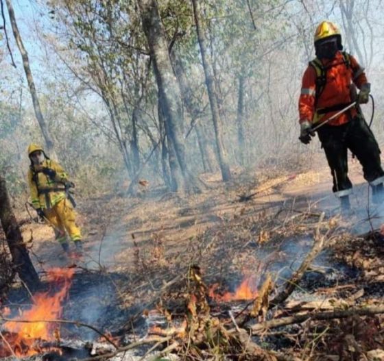 Prosigue el trabajo integral para sofocar los focos ígneos activos en Colonia Santa Rosa