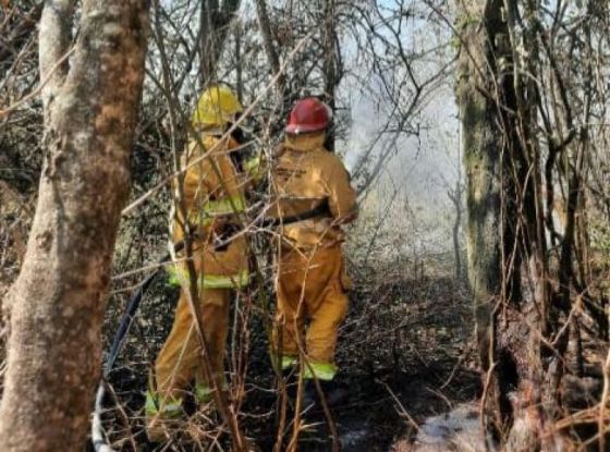 Brigadistas continúan trabajando en el incendio forestal de Colonia Santa Rosa