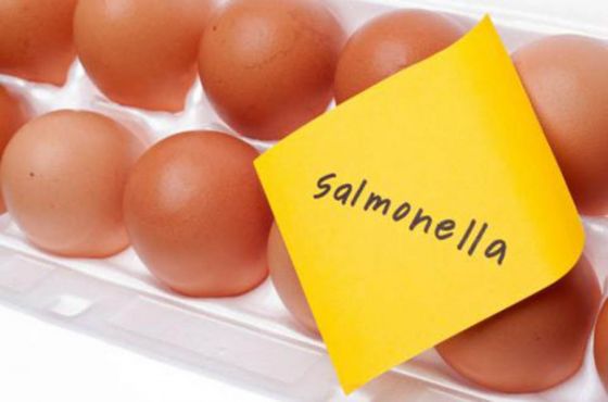 Pautas de cuidado para prevenir la infección por salmonelosis