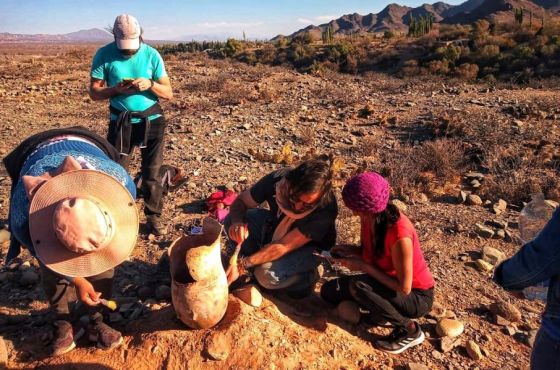 La Secretaría de Cultura rescató material arqueológico en Cachi