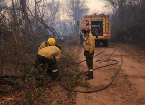 Intenso trabajo Defensa Civil en incendios forestales en el norte provincial