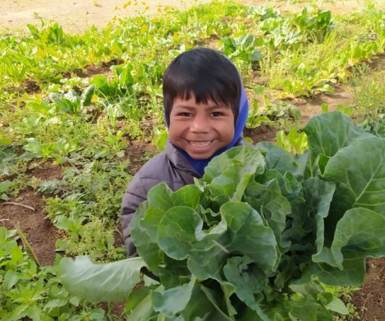 Alumnos de la escuela de Educación Especial de Coronel Juan Solá aprenden a través de huertas escolares