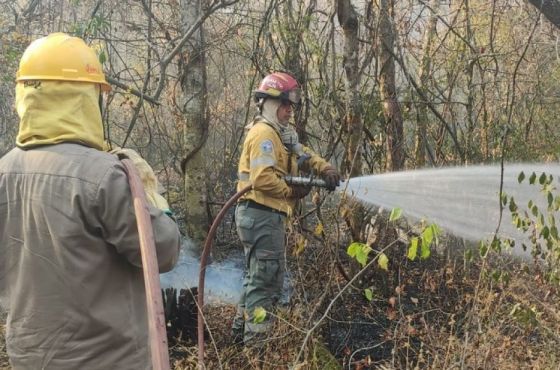 Se continúa trabajando en el sofocamiento de incendios en la provincia