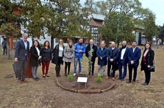 En Casa de Gobierno se plantó un olivo en conmemoración del Año Nuevo Judío