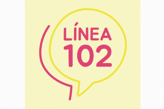 La LINEA 102 funciona las 24 hs todo el fin de semana