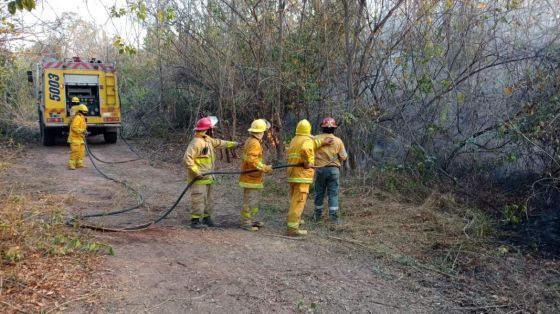 Defensa Civil interviene ante incendios forestales en diversas jurisdicciones de la provincia