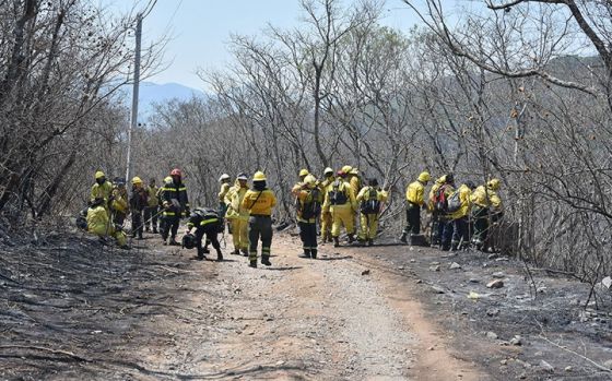 Incendios en el cerro 20 de Febrero: trabajo articulado para extinguir los focos