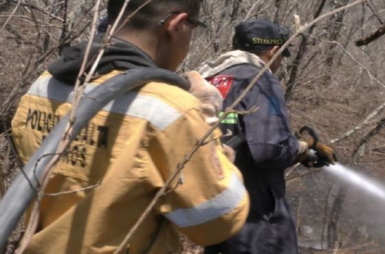 El Gobierno brinda apoyo logístico a los combatientes forestales