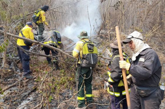 Provincia y Nación continúan con el operativo para combatir incendios forestales en Salta