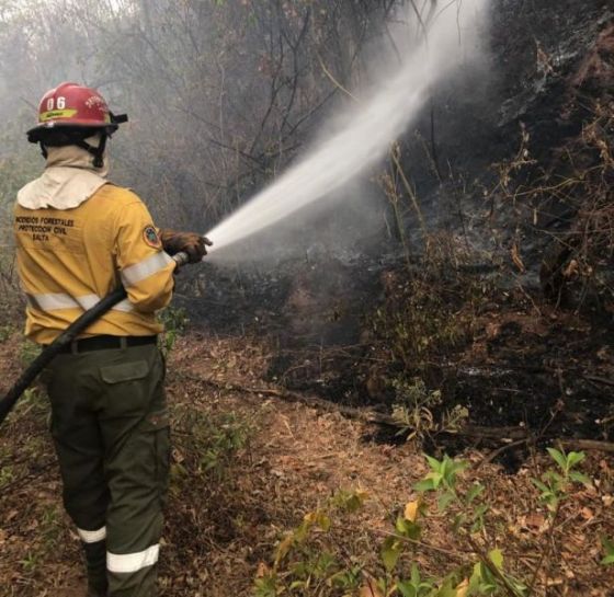 Continúa la intensa lucha contra incendios forestales en el norte provincial