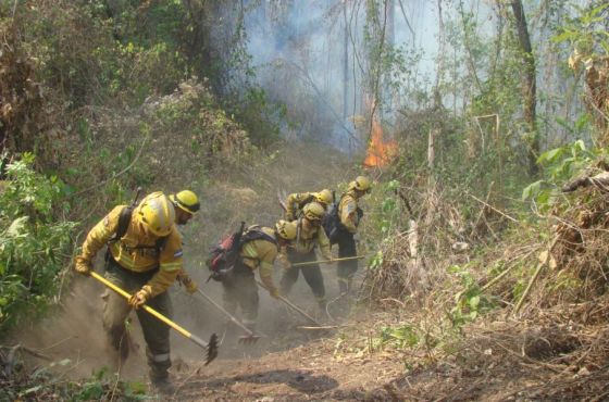 Se reunió el Comité Operativo de Emergencia Ígnea en Orán