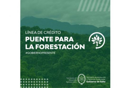 La Provincia impulsa el crecimiento del sector forestal a través de la Línea de Crédito Puente