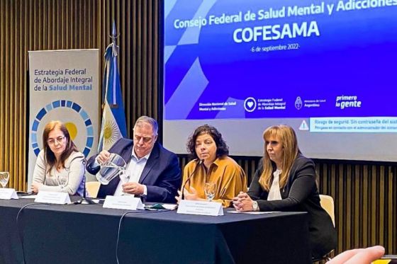 La provincia participó en el último encuentro del año del Consejo Federal de Salud Mental