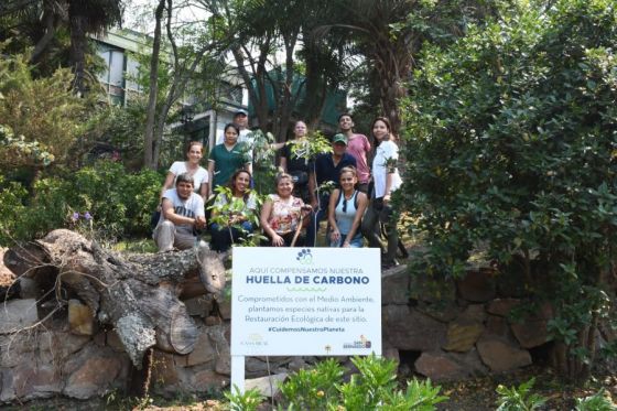 Teleférico San Bernardo continúa con el plan de reforestación del cerro