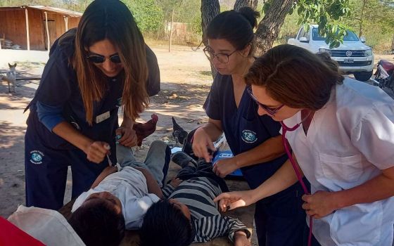 El hospital Materno Infantil concretó más de 7000 asistencias en el interior