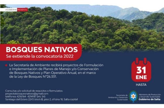 Extienden la convocatoria para la presentación de proyectos de Manejo y Conservación de Bosques Nativos