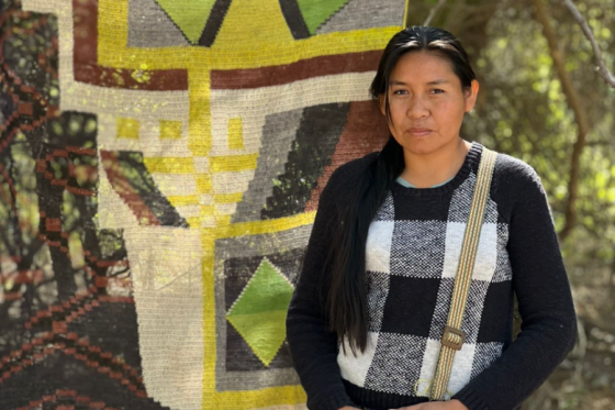 Claudia Alarcón, la primera artista wichí en recibir un premio en el Salón Nacional de las Artes