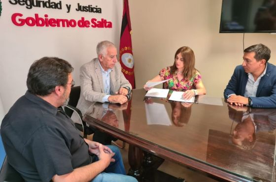 Se proyecta la instalación de 500 cámaras de seguridad en la Provincia